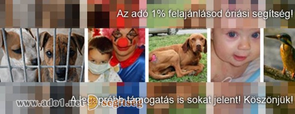 Adó 1 százalék felajánlás